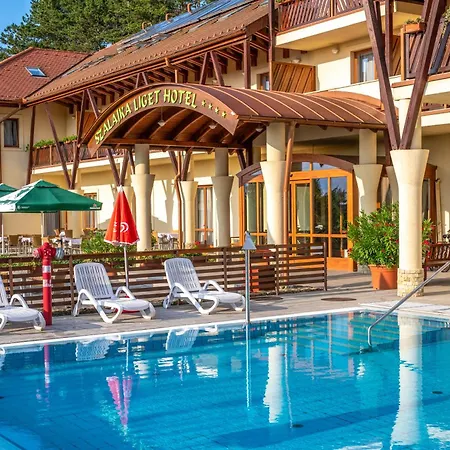 Szalajka Liget Es Apartmanhazak 4*
